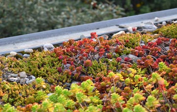 the cost of Higher Bal green roof installation