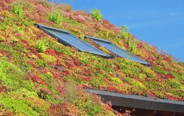 Higher Bal living roof systems